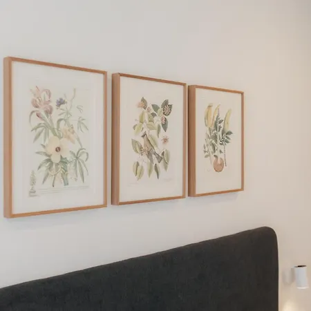 Doce De Colon Requena