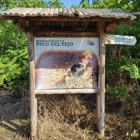 Doce De Colon Requena