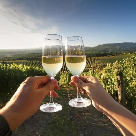 Doce De Colon * Requena