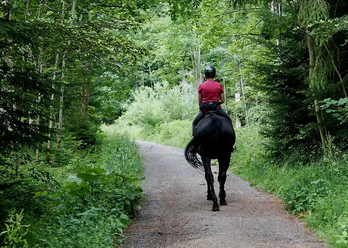 Doce De Colón * Requena